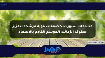 مساحات سبورت: 5 صفقات قوية مرشحة لتعزيز صفوف الزمالك الموسم القادم بالأسماء